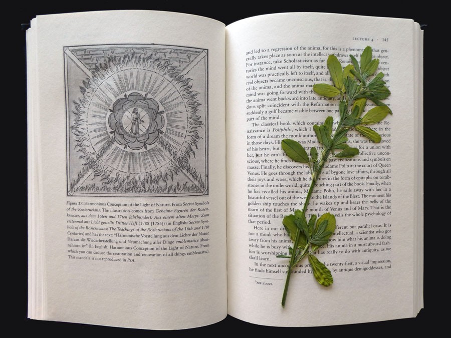 Scientific Dreaming/Wild Flowers (pages 144-145). Courtesy the artist