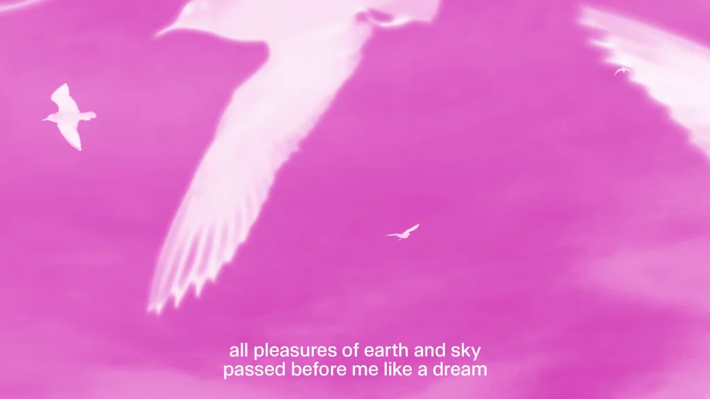 Nanna Debois Buhl, Atmospheric Omens, 2025